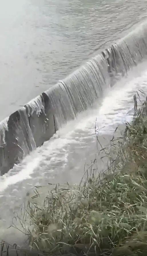 降水明显减弱，高速取消限速！黄浦江有江水倒灌？上海游泳馆站真的变“游泳馆”了？真实情况是→