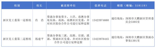 大鹏新区党工委2024年第二轮巡察完成进驻