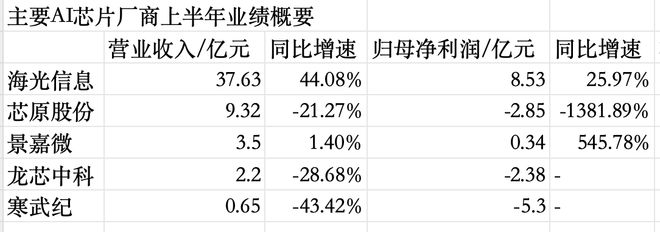 业绩两极分化：国内计算芯片厂商走向“十字路口”