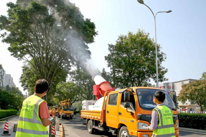 注意！北京这种害虫化蛹高峰期将至，市民可提供线索——