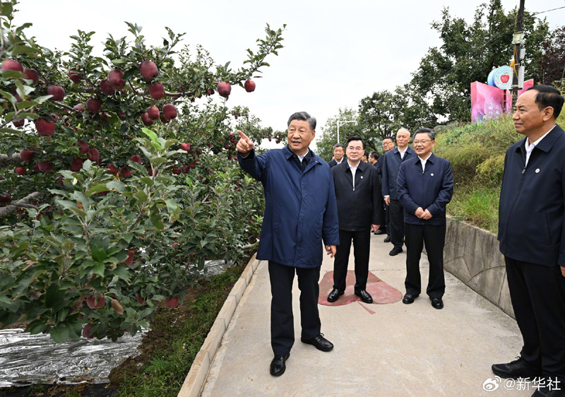 习近平：乡村振兴要靠产业，各地要各展其长__中国政府网