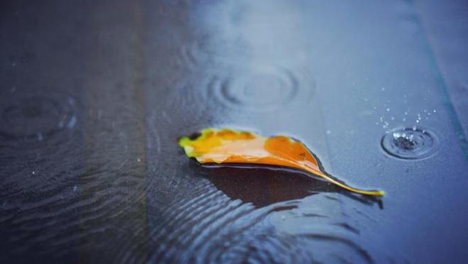 秋雨上线，上海本周天天有雨，冷空气也在路上了