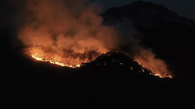 开平山火最新情况！江门消防及各地市救援力量齐力扑救