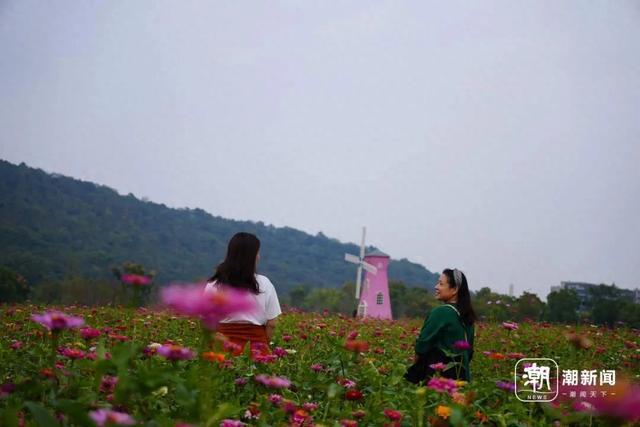 浙江人注意！今日雨水范围扩大，明日升温到达顶峰