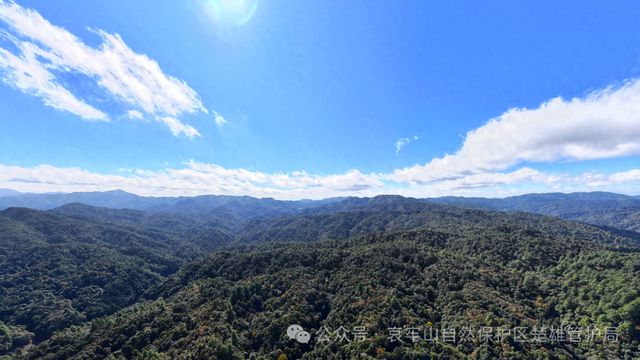 云南哀牢山楚雄州辖区：未开展参观、旅游活动项目，严禁擅自进入保护区，违反者最高罚款5000元