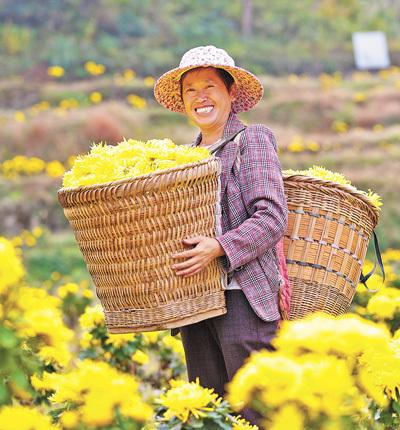 让希望的田野不断迸发生机活力（人民政协新实践）