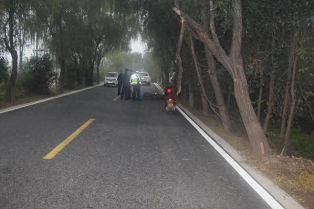 断裂树枝悬挂马路上方，54岁女子骑车撞上不幸身亡！交警认定死者主责，当地政府次责，双方均有异议-梵星网