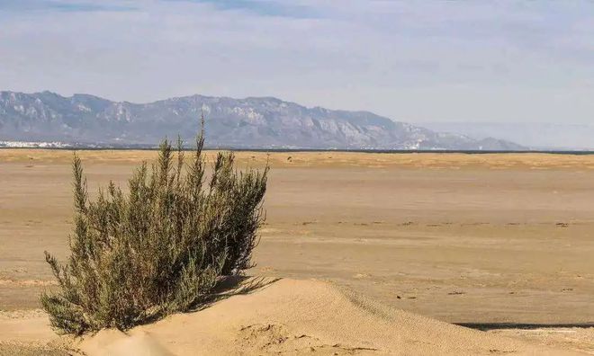 【地理辨析】沙丘、流动沙丘、植物线性沙丘、含水层、隔水层、弱透水层-梵星网