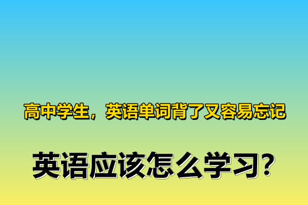 高中学生，英语单词背了又容易忘记，英语应该怎么学习？-梵星网