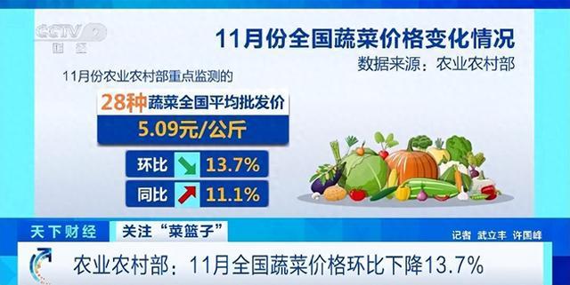 大白菜降价超三成！11月全国蔬菜价格环比下降13.7%