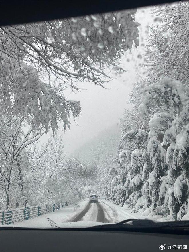 自驾返乡遇暴雪：2小时车程开了24小时，有人饿2天才吃上饭-梵星网