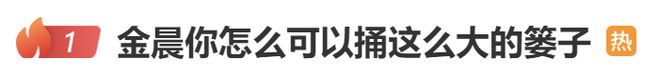 金晨春晚突发状况，网友笑喷：怎么可以捅这么大的篓子，本人回应了-梵星网