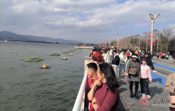 昆明海埂大坝的红嘴鸥去哪儿了？记者实地探访-梵星网